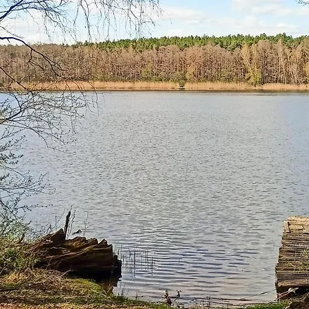 Holiday home Amazing In Wilcze With Sauna