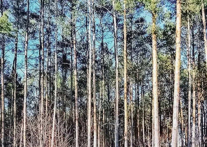 Nyaraló Awesome In With Sauna